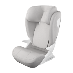 Thule Palm car seat cover